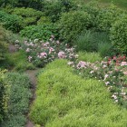 Mooie tuin Soest Mooie tuin Soest