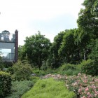 Prachtige vakverdeling tuin Prachtige vakverdeling tuin