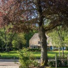 Schaduwplekjes in de tuin Schaduwplekjes in de tuin