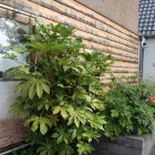 Sfeervolle tuinkamer Soest Sfeervolle tuinkamer Soest