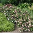 Tuin Soest Tuin Soest