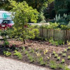 Voortuin renovatie Voortuin renovatie