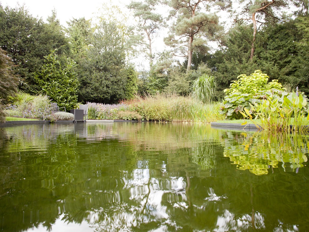 Tuinvijver De Bilt bij erkend Hoveniersbedrijf De Vuursche