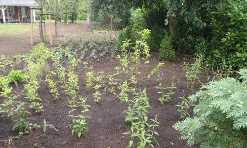 Nieuwe borders in Amersfoort Vathorst Nieuwe borders in Amersfoort Vathorst