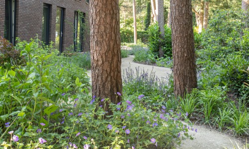 Tuin bij zorginstelling Tuin bij zorginstelling