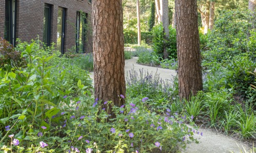 Tuin bij zorginstelling