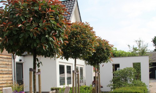 Tuinkamer in Soest Tuinkamer in Soest