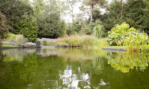 Tuinvijver in De Bilt Tuinvijver in De Bilt