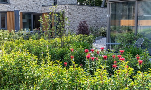 Weelderige tuin Weelderige tuin